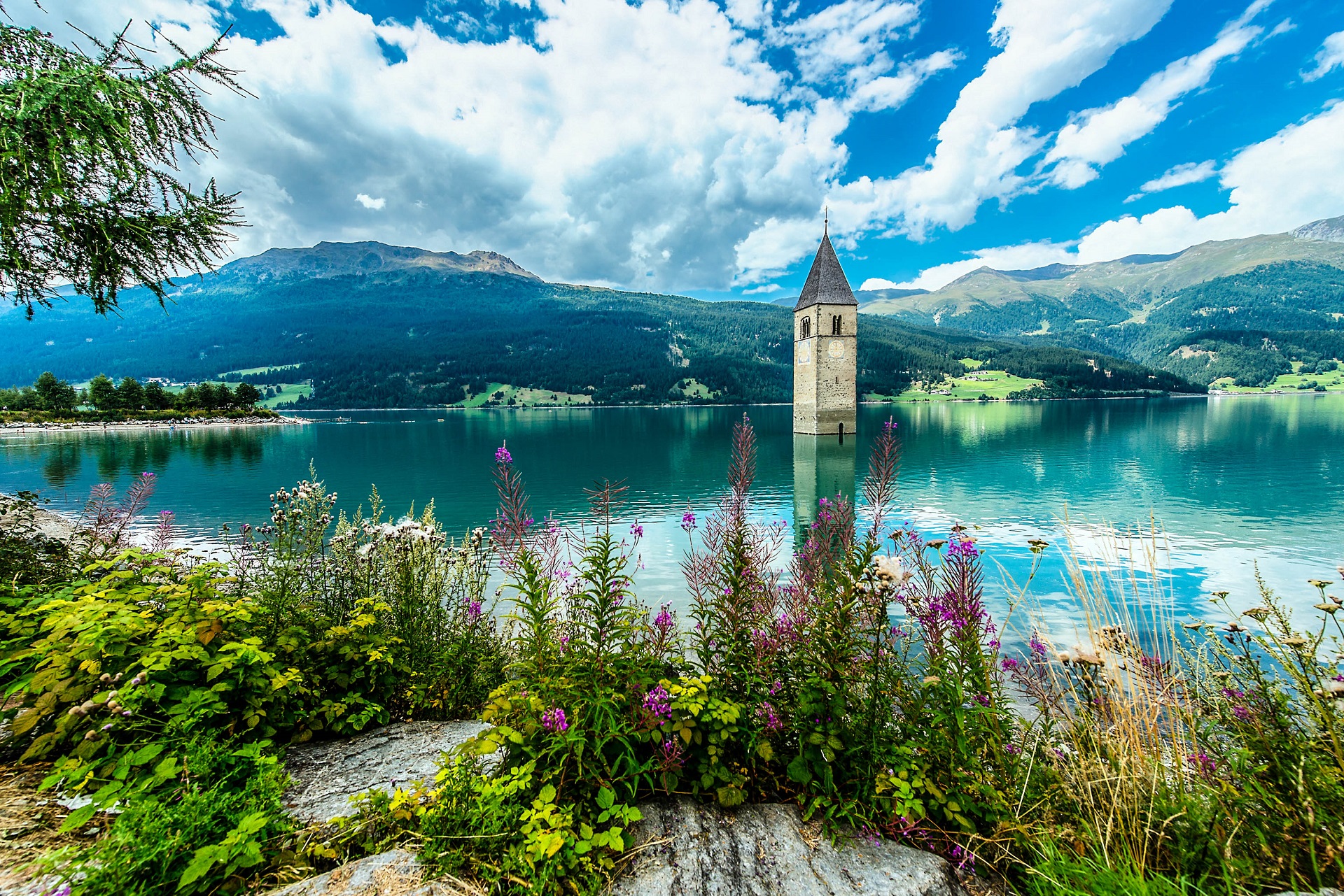 Kirchturm im See (Reschensee) mit Blumen am Ufer, umgeben von Bergen und blauem Himmel mit Wolken.