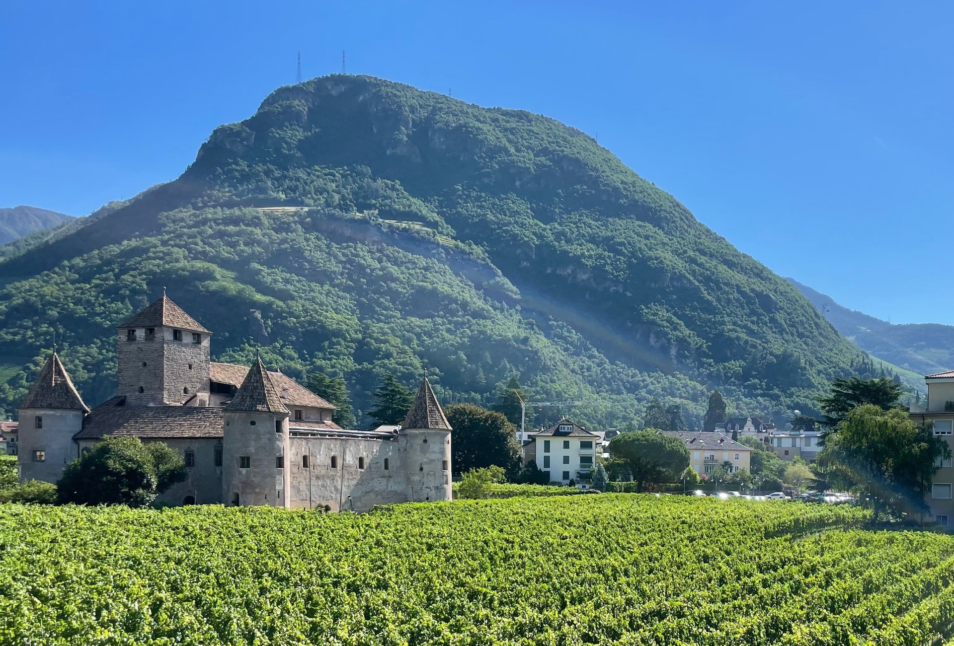 Burganlage mit Türmen im Vordergrund, Weinberge und Häuser, dahinter grüner Berg unter klarem blauen Himmel.