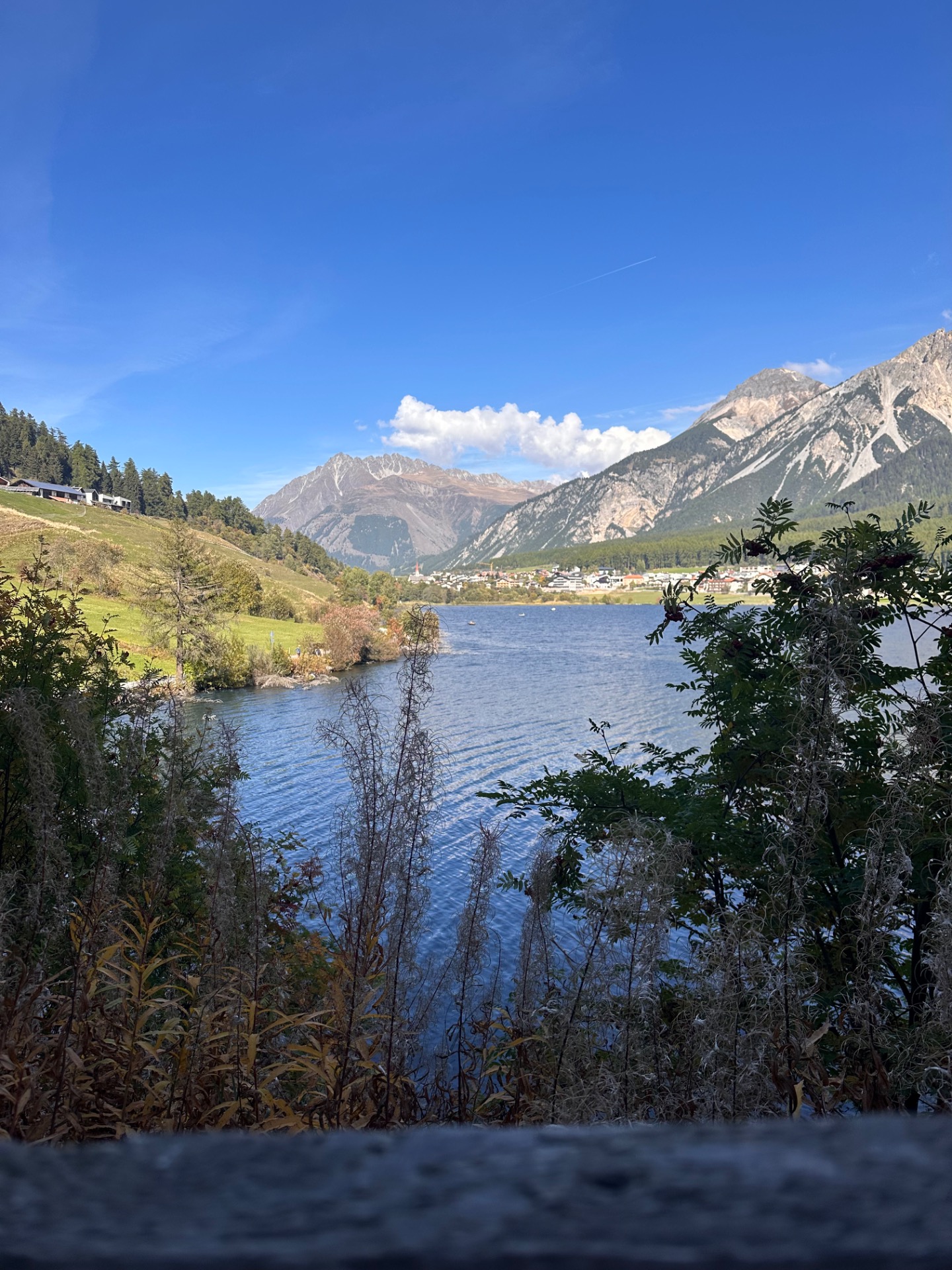 Blick auf den Haidersee mit Ufervegetation, Dorf und hohen Alpenbergen unter blauem Himmel mit Wolken.